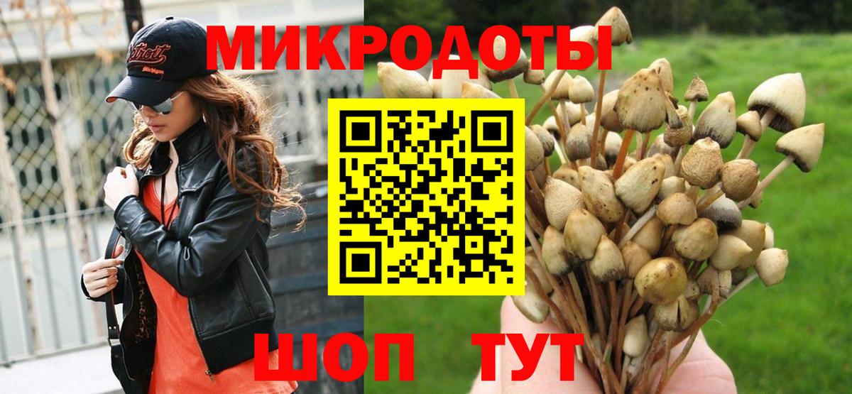 Кулебаки  Псилоцибиновые грибы MAGIC MUSHROOMS  Вход с VPN 